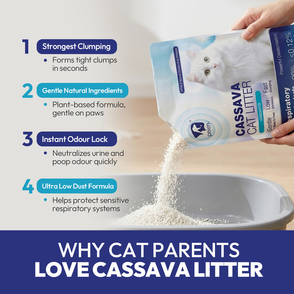 PEIEN Cassava Cat Litter [1.25kg] | Low Dust Fast Clumping Plant-Based Cat Litter | Respiratory Friendly